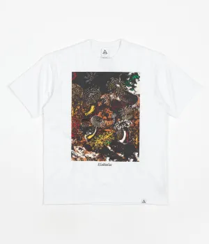 Nike ACG Tidal Pool T-Shirt - White