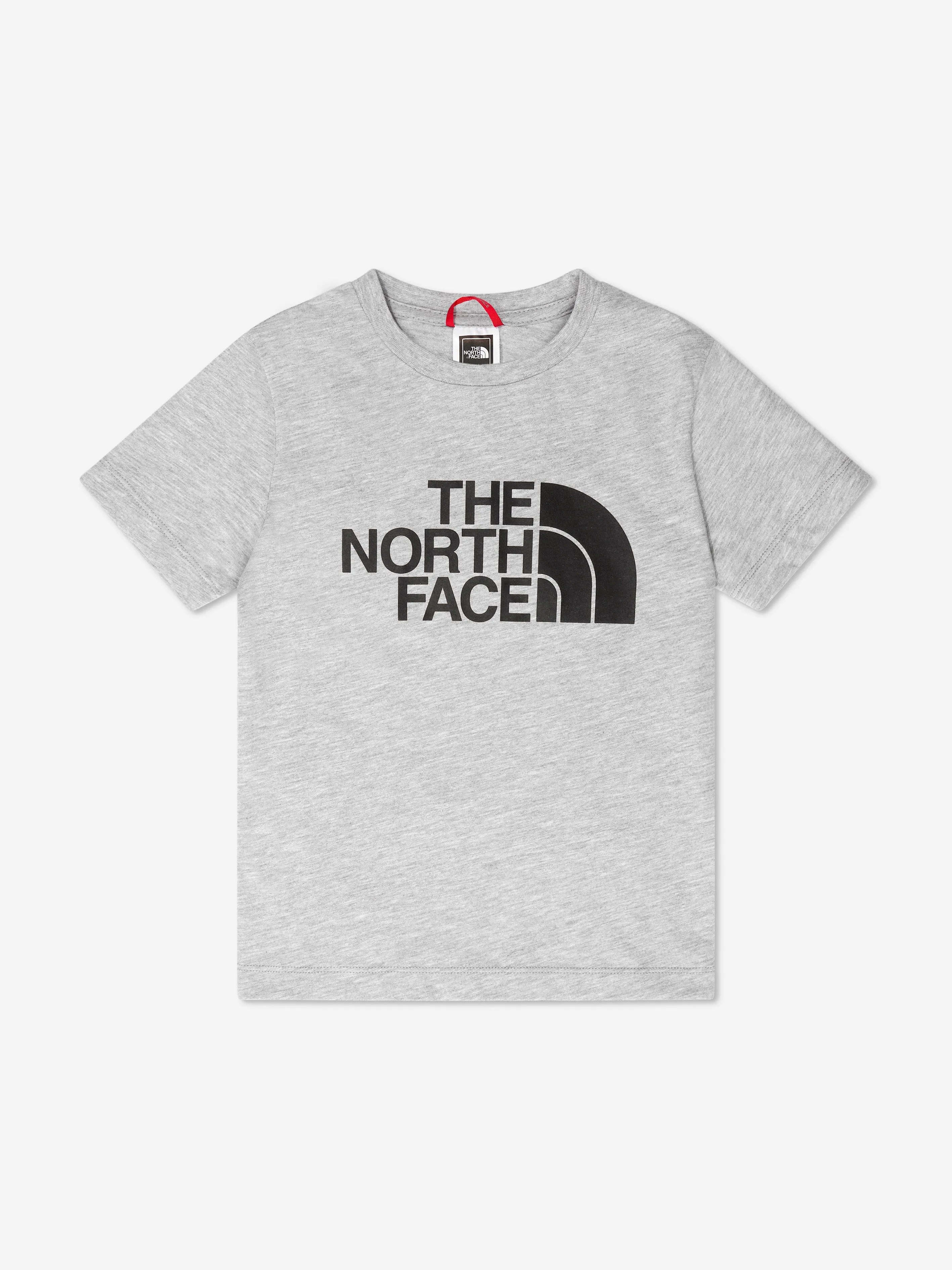 The North Face Boys Easy T-Shirt in Grey