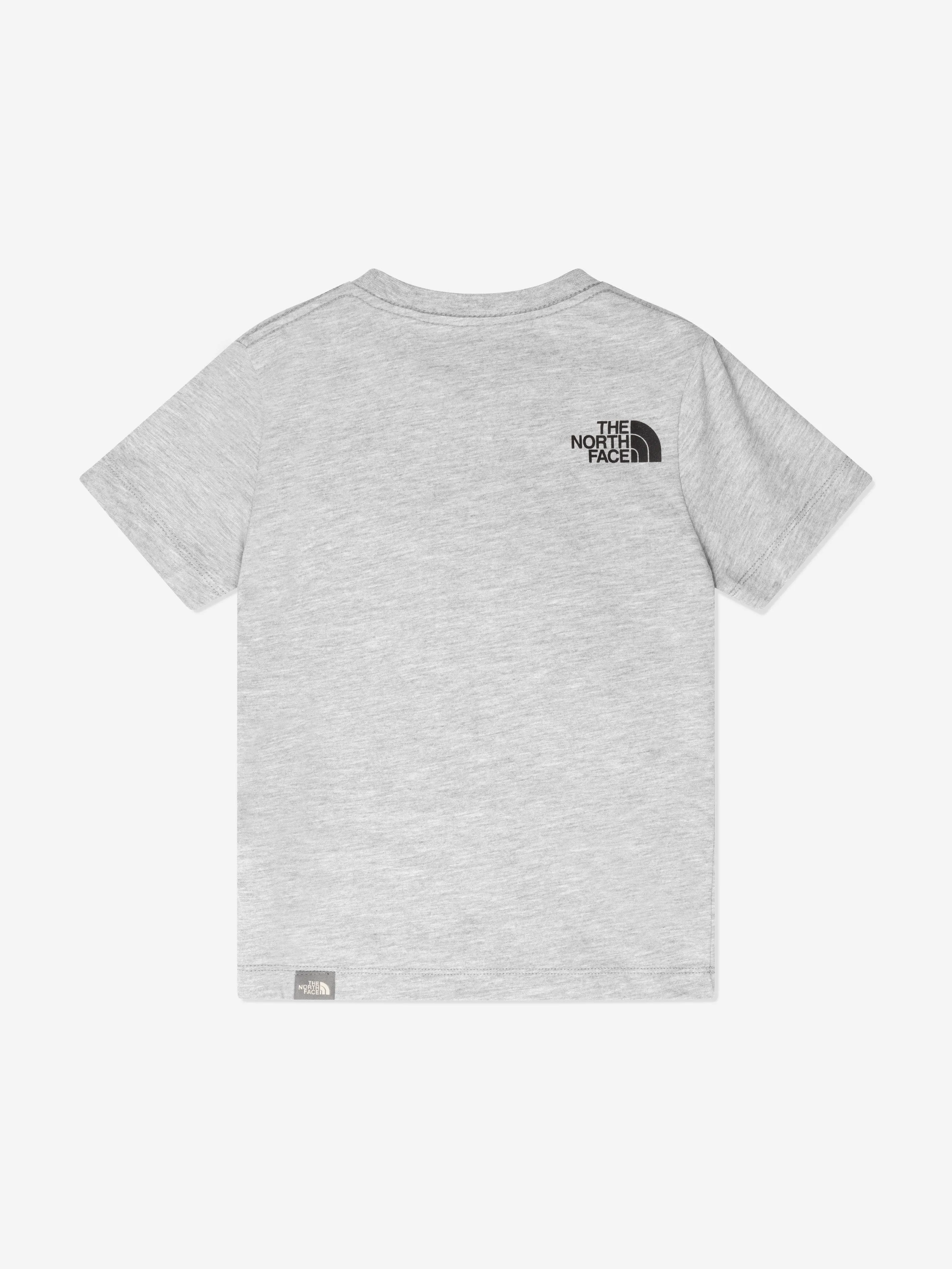 The North Face Boys Easy T-Shirt in Grey